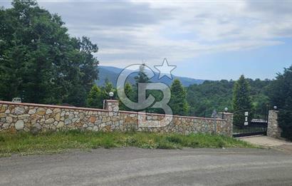  Yalova Merkez Kurtköy’de Hayalinizdeki 14504 m2 Arazi Satılık!