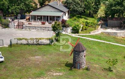  Yalova Merkez Kurtköy’de Hayalinizdeki 14504 m2 Arazi Satılık!