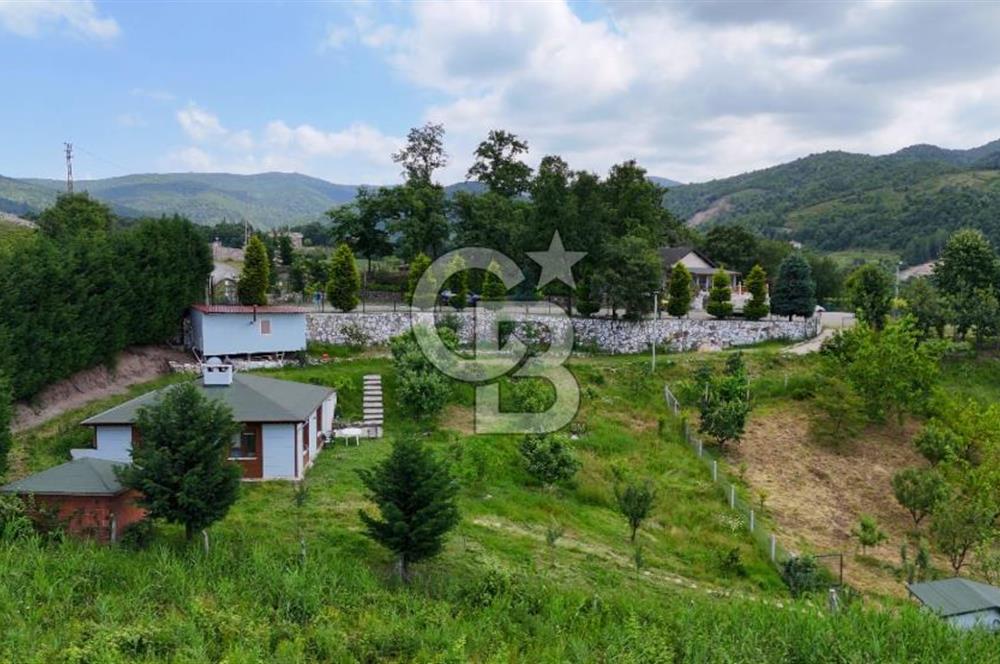  Yalova Merkez Kurtköy’de Hayalinizdeki 14504 m2 Arazi Satılık!