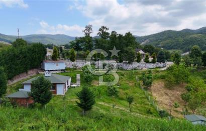  Yalova Merkez Kurtköy’de Hayalinizdeki 14504 m2 Arazi Satılık!