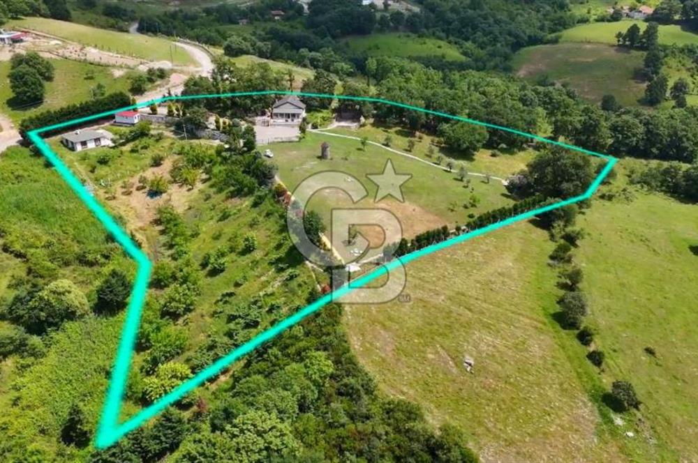  Yalova Merkez Kurtköy’de Hayalinizdeki 14504 m2 Arazi Satılık!