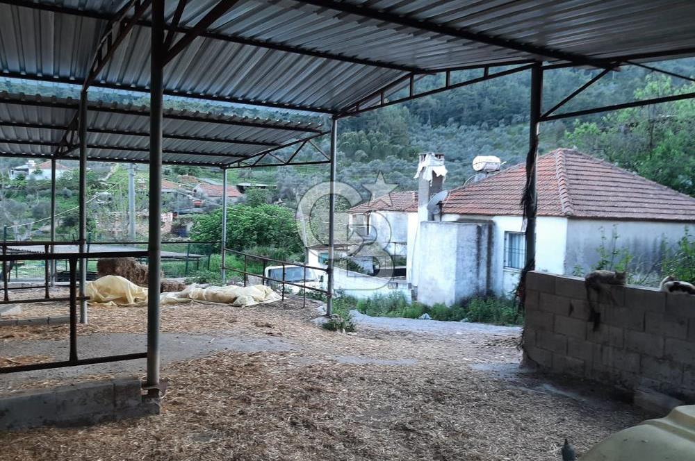 Milas Dibekdere Mahallesinde Satılık Köyiçi İmarlı Arsa