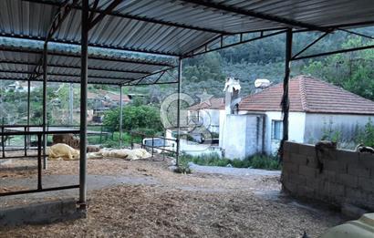 Milas Dibekdere Mahallesinde Satılık Köyiçi İmarlı Arsa