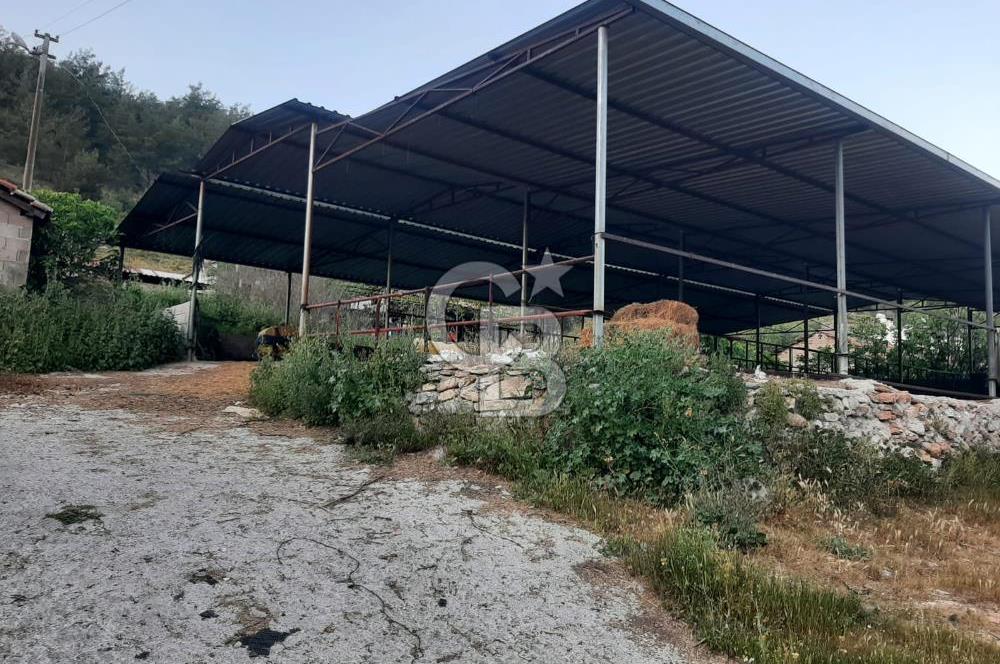 Milas Dibekdere Mahallesinde Satılık Köyiçi İmarlı Arsa
