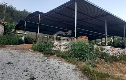 Milas Dibekdere Mahallesinde Satılık Köyiçi İmarlı Arsa