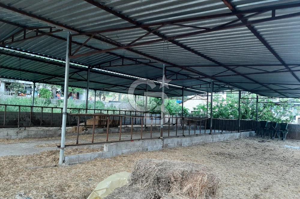 Milas Dibekdere Mahallesinde Satılık Köyiçi İmarlı Arsa