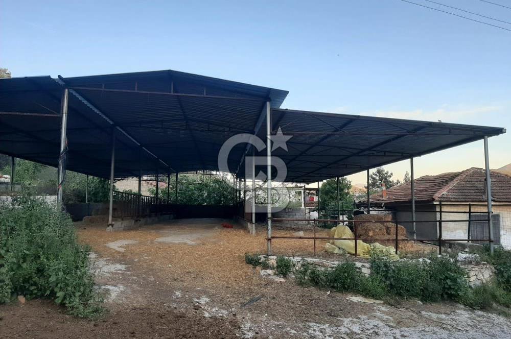 Milas Dibekdere Mahallesinde Satılık Köyiçi İmarlı Arsa