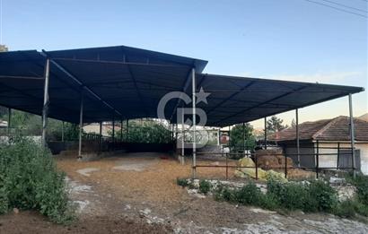 Milas Dibekdere Mahallesinde Satılık Köyiçi İmarlı Arsa
