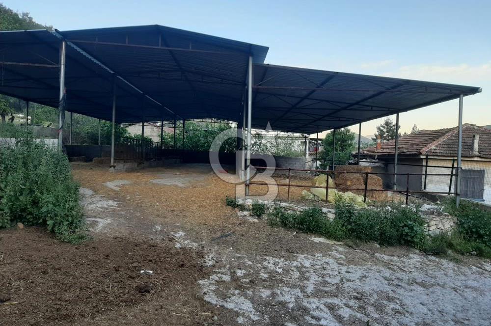 Milas Dibekdere Mahallesinde Satılık Köyiçi İmarlı Arsa