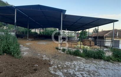 Milas Dibekdere Mahallesinde Satılık Köyiçi İmarlı Arsa