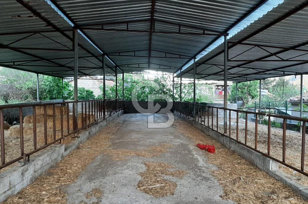Milas Dibekdere Mahallesinde Satılık Köyiçi İmarlı Arsa