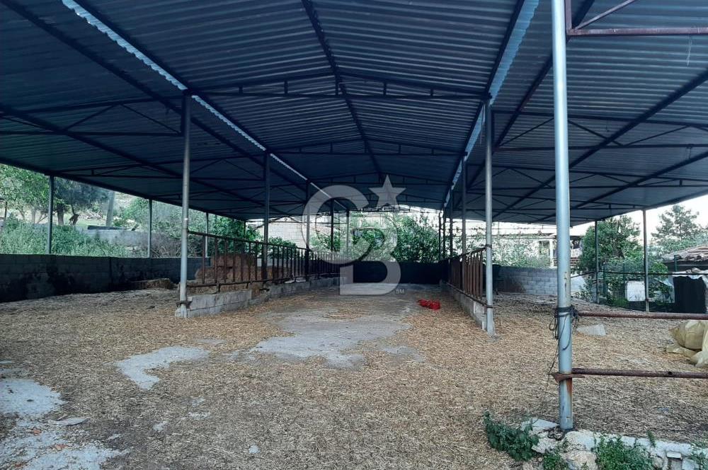 Milas Dibekdere Mahallesinde Satılık Köyiçi İmarlı Arsa