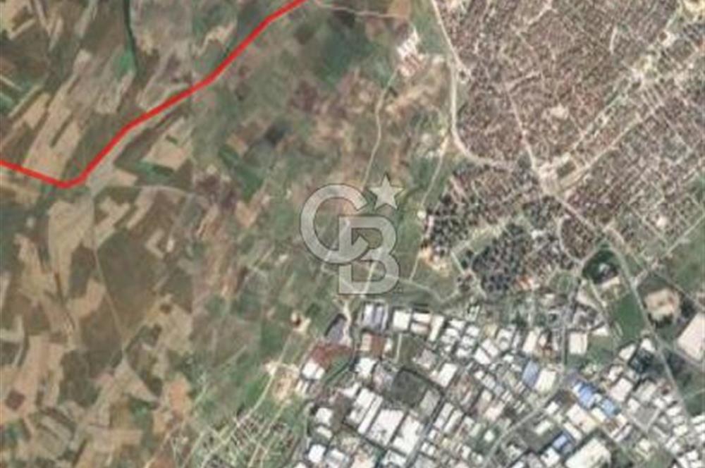TEKİRDAĞ SARAY BÜYÜKYONCALI SATILIK ARSA