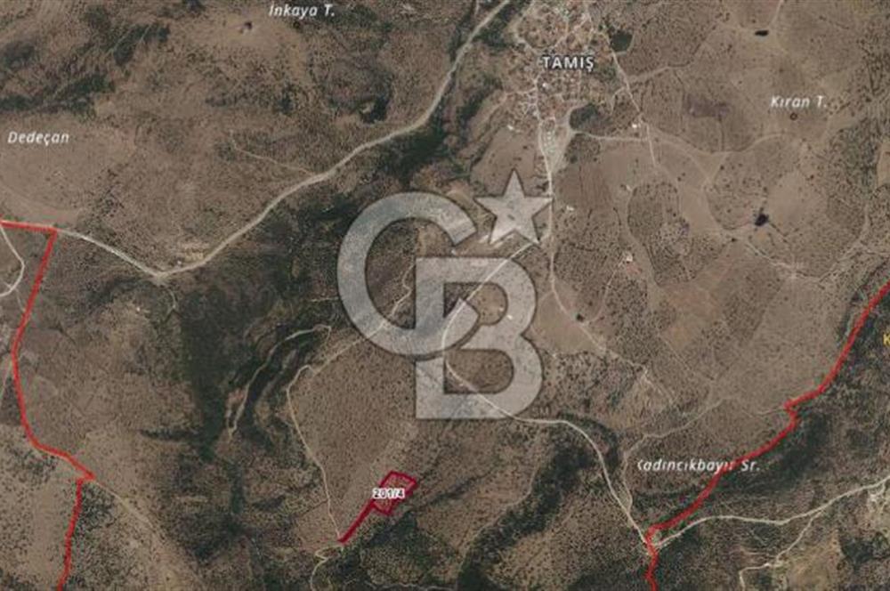 ÇANAKKALE AYVACIK TAMIŞ KÖYÜNDE SATILIK 11.252 M² ARAZİ