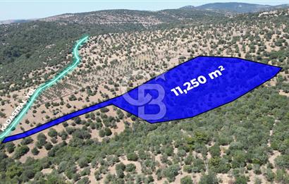 ÇANAKKALE AYVACIK TAMIŞ KÖYÜNDE SATILIK 11.252 M² ARAZİ