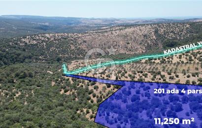 ÇANAKKALE AYVACIK TAMIŞ KÖYÜNDE SATILIK 11.252 M² ARAZİ