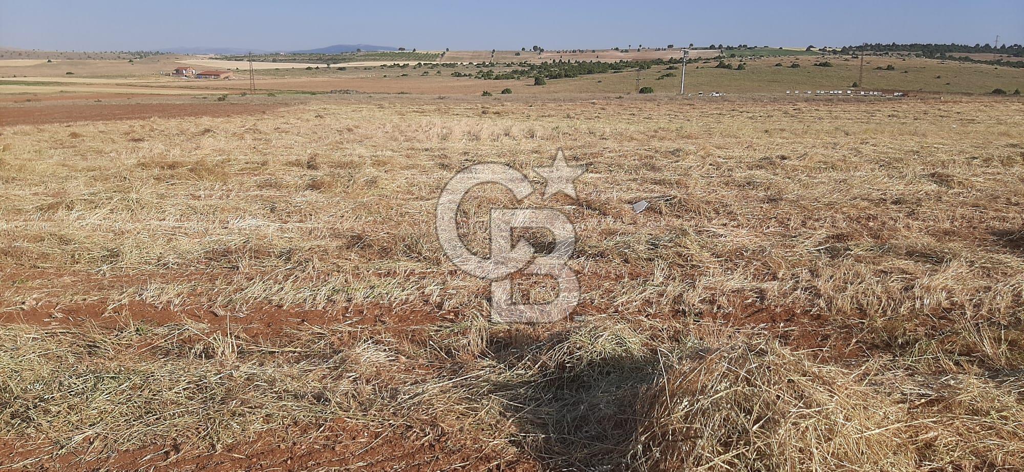 9830 M² FIRSAT ARAZİ!