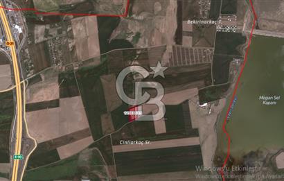 Gölbaşı Gökçehöyük Tek Tapu 10.000m2 Kök Tapu Satılık Tarla 