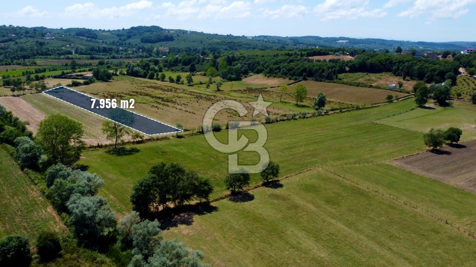 CB Akademi Kandıra Karaağaç Satılık 7956m2 Yol Cepheli Arazi