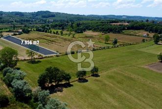 CB Akademi Kandıra Karaağaç Satılık 7956m2 Yol Cepheli Arazi