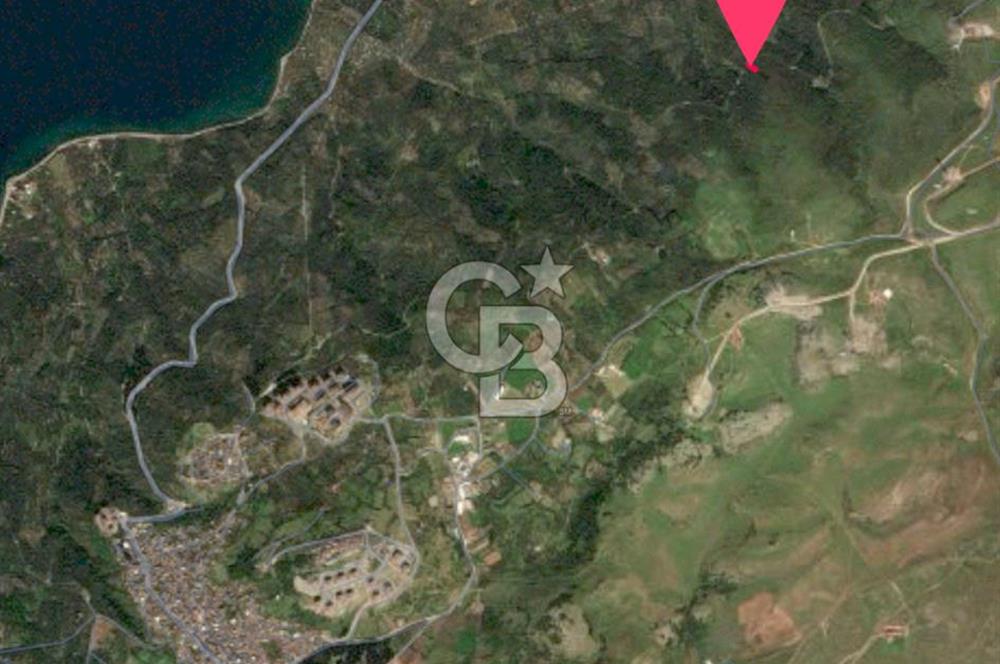 Bandırma Edincik ‘te Satılık Zeytinlik