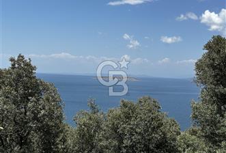 Bandırma Edincik ‘te 1821m2 Zeytinlik