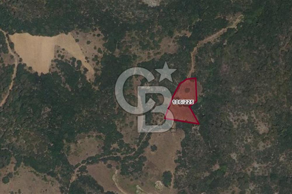 LAPSEKİ KARAMUSALARDA UYGUN TARLA