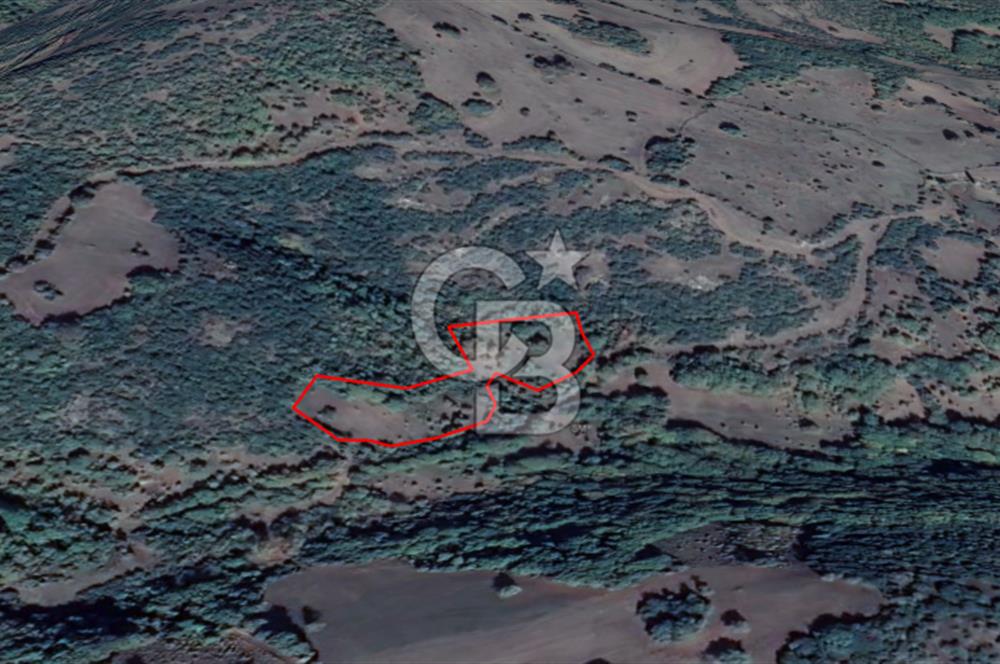 LAPSEKİ KIRCALARDA KÖYÜN KARŞISINDA 6.251 M² SATILIK TARLA