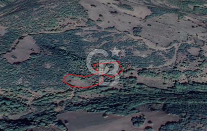 LAPSEKİ KIRCALARDA KÖYÜN KARŞISINDA 6.251 M² SATILIK TARLA