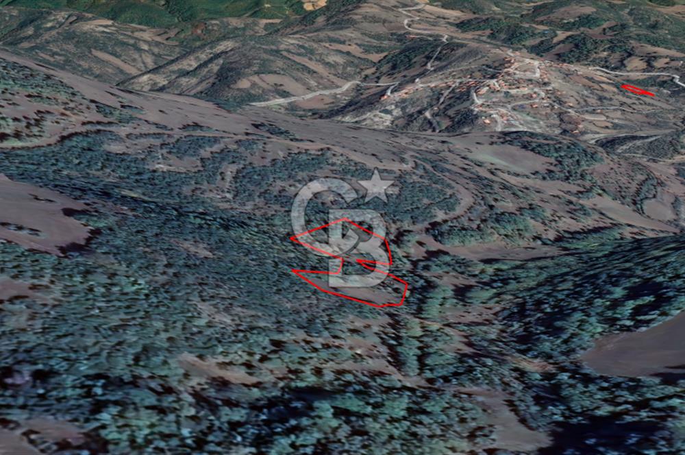 LAPSEKİ KIRCALARDA KÖYÜN KARŞISINDA 6.251 M² SATILIK TARLA