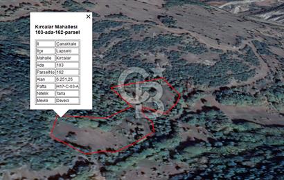 LAPSEKİ KIRCALARDA KÖYÜN KARŞISINDA 6.251 M² SATILIK TARLA