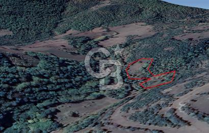 LAPSEKİ KIRCALARDA KÖYÜN KARŞISINDA 6.251 M² SATILIK TARLA