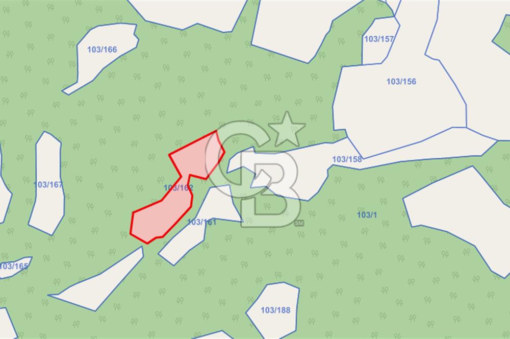 LAPSEKİ KIRCALARDA KÖYÜN KARŞISINDA 6.251 M² SATILIK TARLA