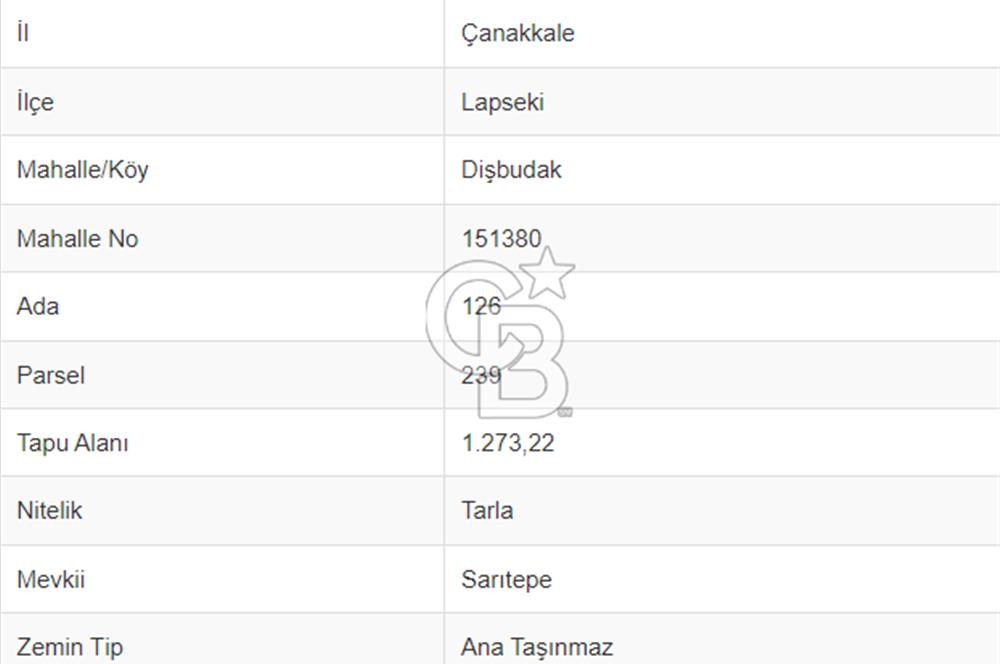 ÇANAKKALE LAPSEKİ DİŞBUDAK KÖYÜNDE SATILIK MEYVE BAHÇESİ