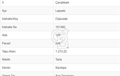ÇANAKKALE LAPSEKİ DİŞBUDAK KÖYÜNDE SATILIK MEYVE BAHÇESİ