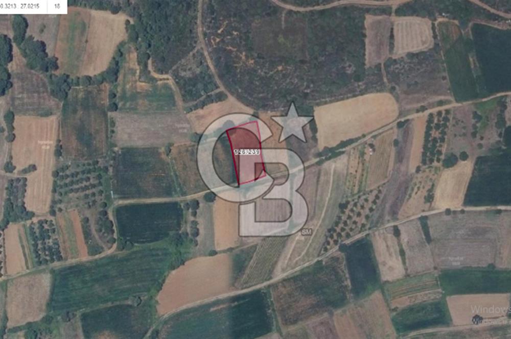 ÇANAKKALE LAPSEKİ DİŞBUDAK KÖYÜNDE SATILIK MEYVE BAHÇESİ