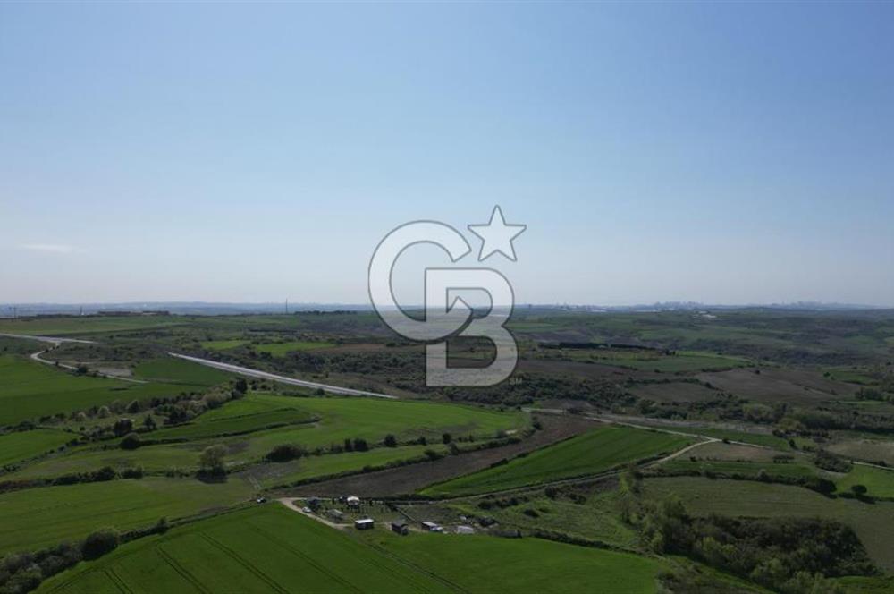 ÇATALCA KIZILCAALİ MAHALLESİ SATILIK 7307m² ARAZİ