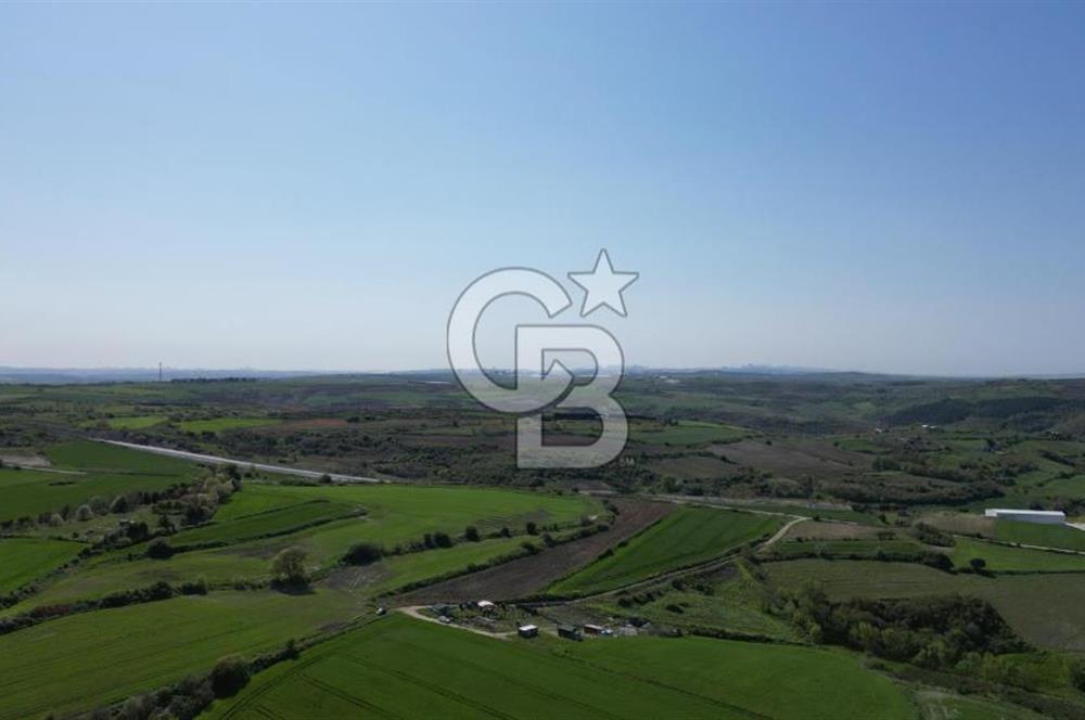 ÇATALCA KIZILCAALİ MAHALLESİ SATILIK 7307m² ARAZİ