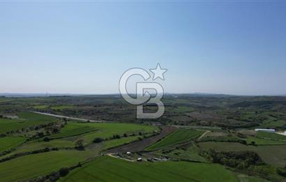 ÇATALCA KIZILCAALİ MAHALLESİ SATILIK 7307m² ARAZİ