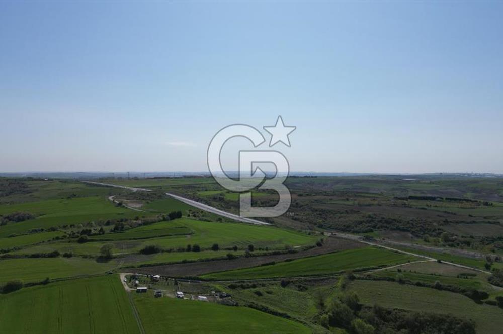 ÇATALCA KIZILCAALİ MAHALLESİ SATILIK 7307m² ARAZİ