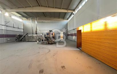 Denizli Çivril' de 3267 M² Arsa İçerisinde 1100 M² Kapalı Depo