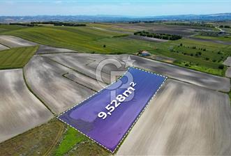 ÇATALCA OKLALI KÖYÜ SATILIK 9600m2 ARAZİ