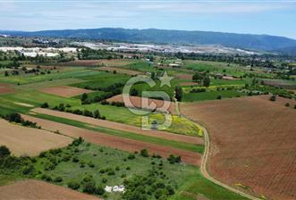 PAZARYERİ FİRANLAR CADDE ÜZERİ YARTIRIMLIK 2407 M2