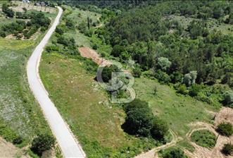 BİLECİK BAYIRKÖY SARMAŞIK KÖYÜ FIRSAT FİYATLI 4554 M2