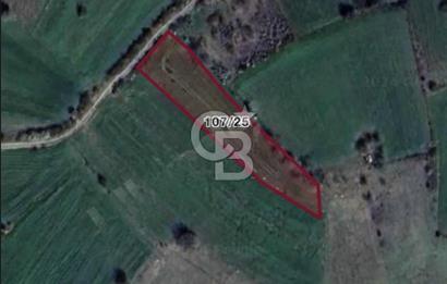 BİLECİK MERKEZ KARAAĞAÇ FIRSAT TARLA 1663 m2