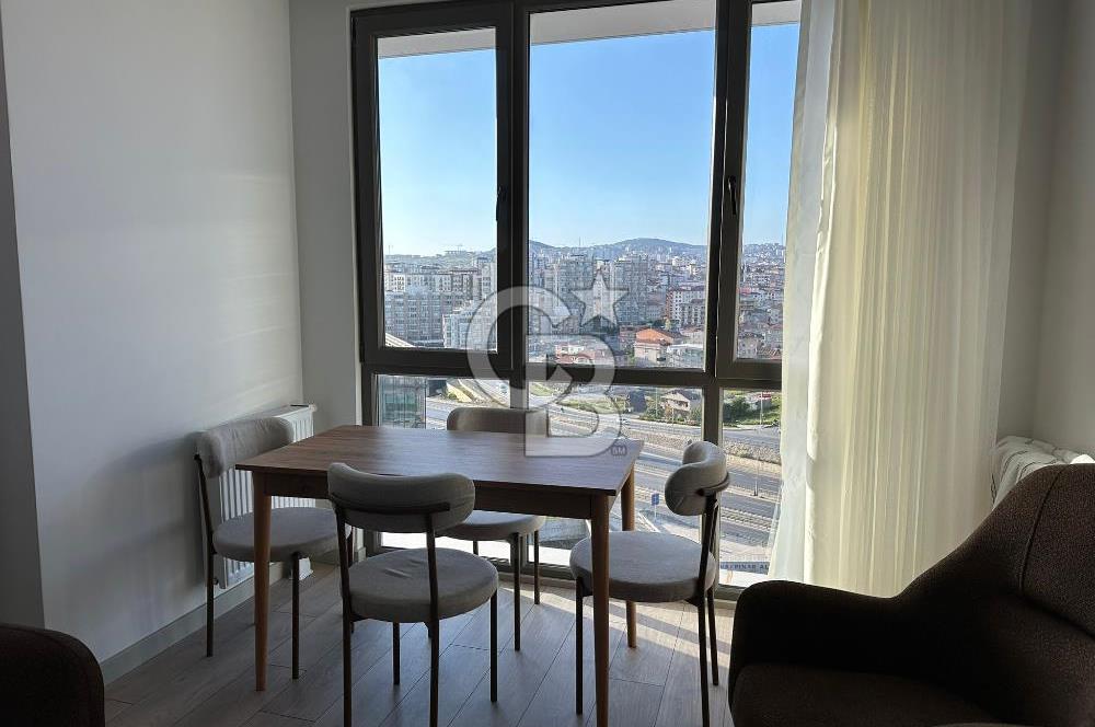 Pendik 1+1