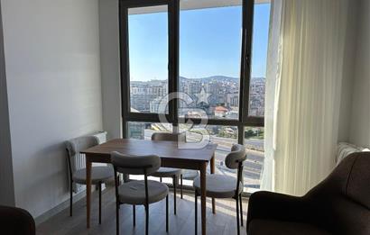 Pendik 1+1