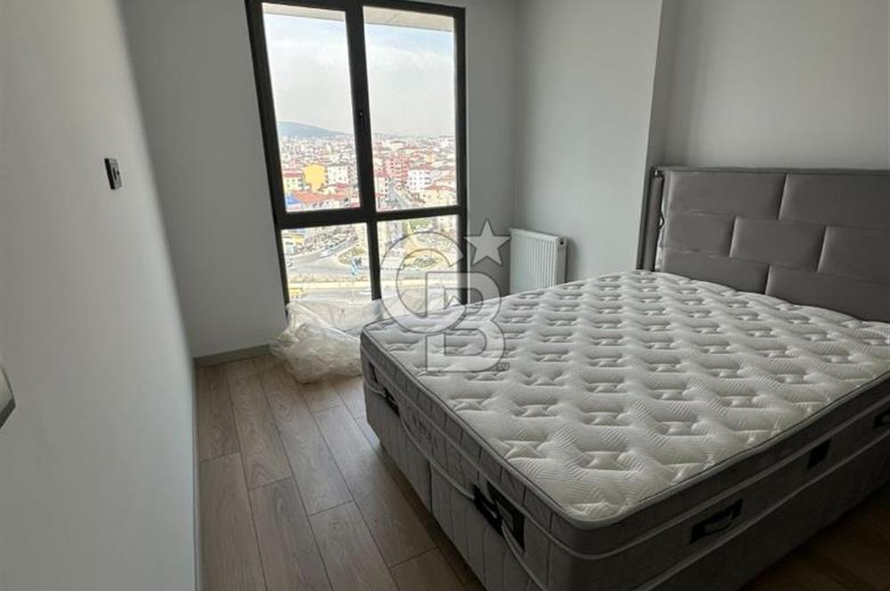 Pendik 1+1