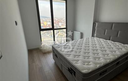Pendik 1+1