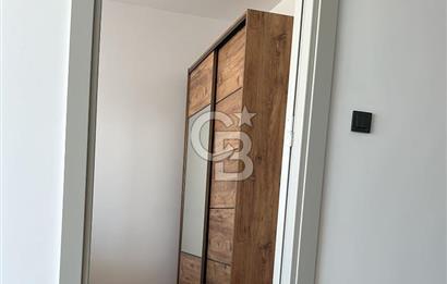 Pendik 1+1
